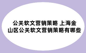 公关软文营销策略 上海金山区公关软文营销策略有哪些